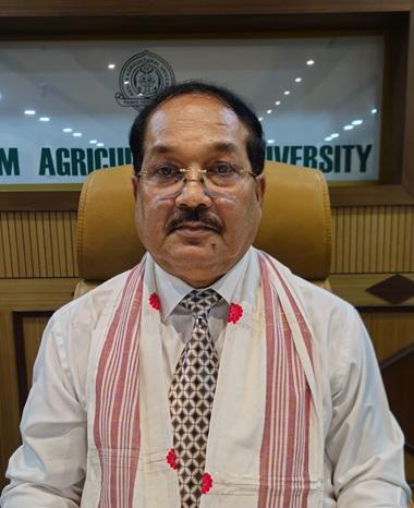Dr. Dipjyoti Rajkhowa